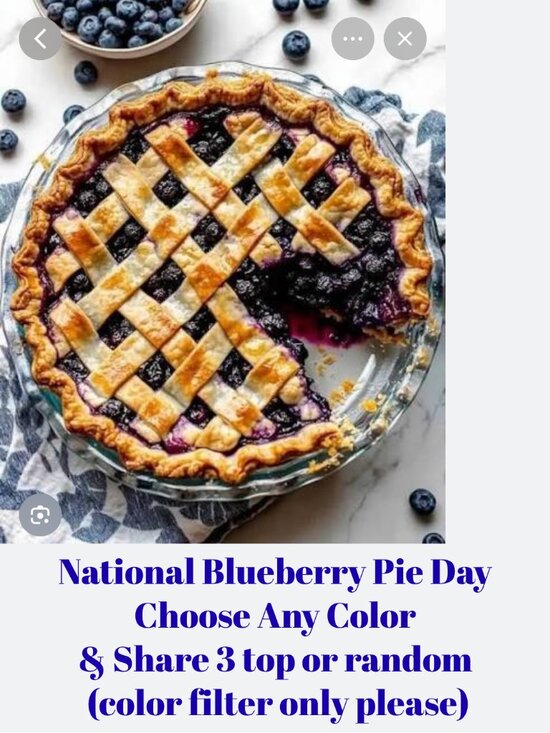Other - TUES. 4/28 BLUEBERRY PIE DAY Share 3 Group